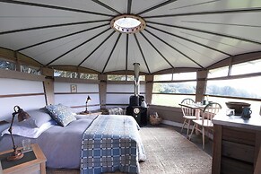 Caban Llwynon