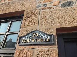 Periwinkle