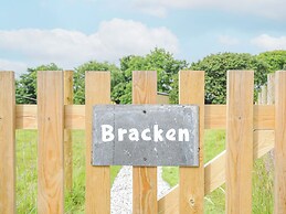Bracken