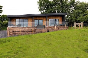 The Lookout