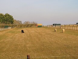 Alpaca Lodge
