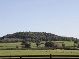 Leadon View Oak