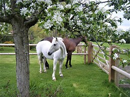 October House Holiday Cabin