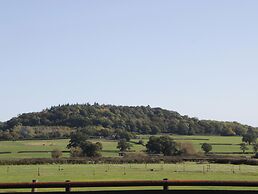 Leadon View Willow