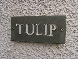 Tulip