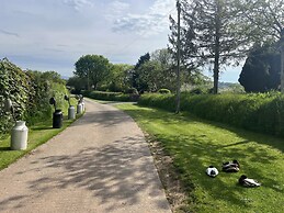 War Horse Valley Orchard View