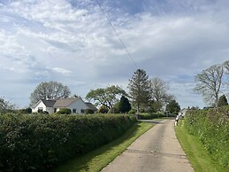 War Horse Valley Orchard View