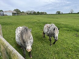 War Horse Valley Orchard View