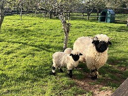 War Horse Valley Orchard View