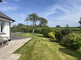 War Horse Valley Orchard View