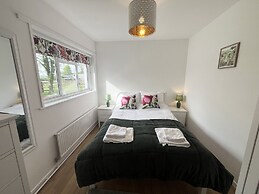 War Horse Valley Orchard View