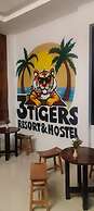 3 Tigers Resort & Hostel