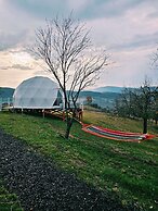 SKY DOME