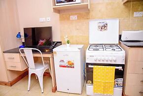 Studio Apartment Nairobi West