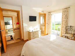 Swandown 11 The Cygnet