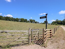 Swandown 11 The Cygnet