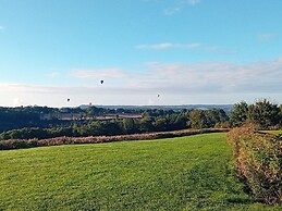 Swandown 11 The Cygnet