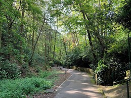 The Gables Penthouse