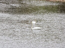 Mulberry Cabin On The Lake