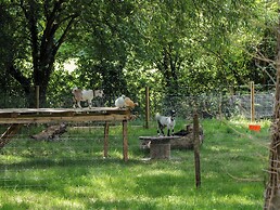 The Foxes Den Shepherds Hut