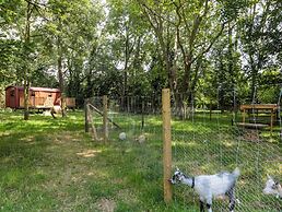 The Foxes Den Shepherds Hut