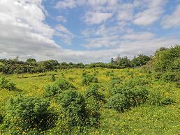 Glenisle
