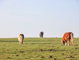 The Barn @ Ivy House