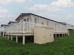 47 The Drake Forgetmeknot