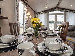 47 The Drake Forgetmeknot