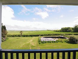 Chestnut at Moorhead Country Holidays