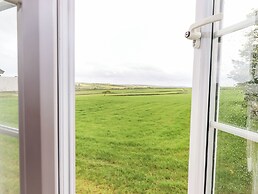 Goldfinch at Moorhead Country Holidays