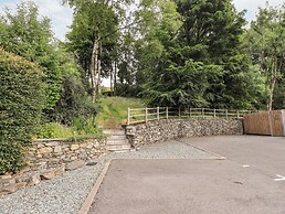 Deer Wood At Applethwaite Hall