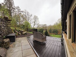 Deer Wood At Applethwaite Hall