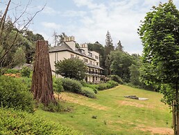Deer Wood At Applethwaite Hall