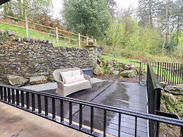 Deer Wood At Applethwaite Hall