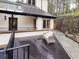 Deer Wood At Applethwaite Hall