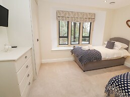 Deer Wood At Applethwaite Hall