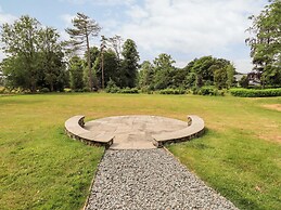 Deer Wood At Applethwaite Hall