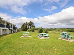 Chaffinch at Moorhead Country Holidays