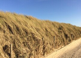 Apartment in Wenduine Near the Beach