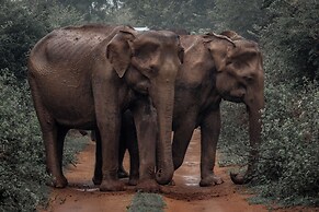 Wild Safari Nest Udawalawe