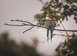 Wild Safari Nest Udawalawe