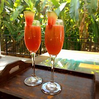 Wild Safari Nest Udawalawe