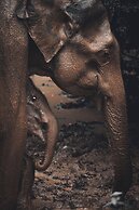 Wild Safari Nest Udawalawe