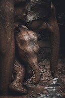 Wild Safari Nest Udawalawe