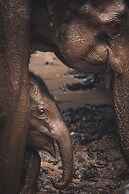 Wild Safari Nest Udawalawe