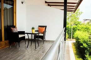 Colina de Montalva - Tarapoto