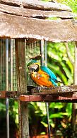 Colina de Montalva - Tarapoto