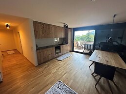 Charming Family Apartment in Bürserberg Österreich
