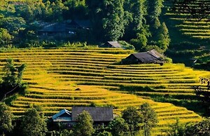 Saparis Station Hostel & Travel